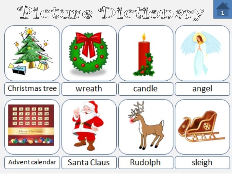 Picture Dictionary  1